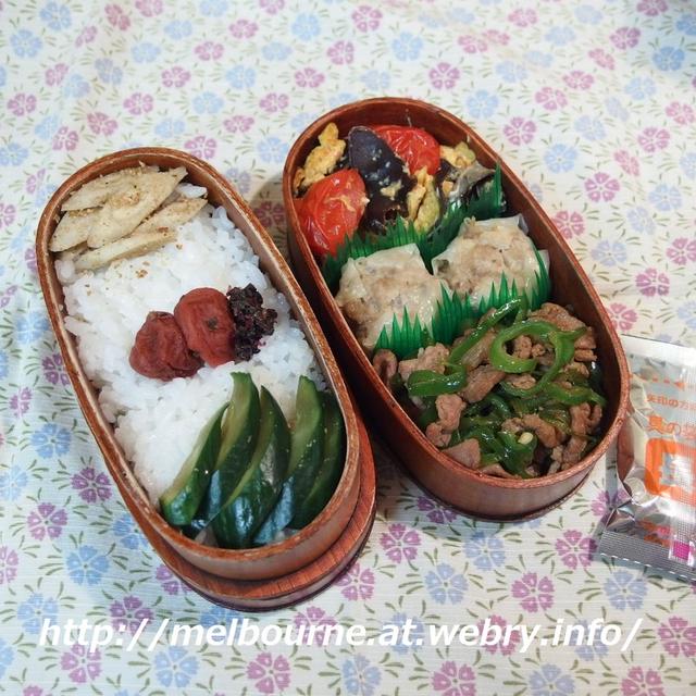 美人さん ★ OBENTOは 中華弁当