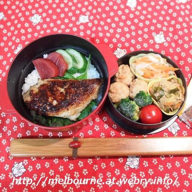 国境の壁　★　お弁当は　さごしのバター焼き