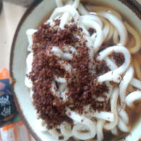 ぶっかけうどんＷ刻み入り＆乗せ