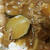 夏スパイシーカレーとＳＳ５０１の作ったカレー