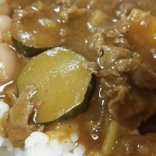 夏スパイシーカレーとＳＳ５０１の作ったカレー