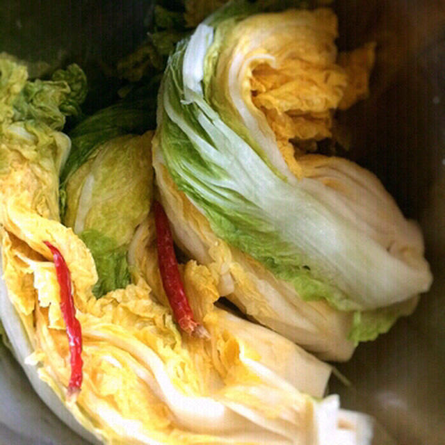 ふつうの本格的な白菜の漬物 By たなじんさん レシピブログ 料理ブログのレシピ満載