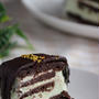 vol.23 Chocolatemint Ice Cake 