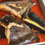 煮魚のコツと一緒に煮て美味しい野菜は…？