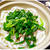 おら鶏塩うどん