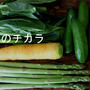 料理動画「簡単！春キャベツとサラダきゅうりの中華和え」