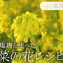 今が旬の“菜の花”×塩麹レシピ５選