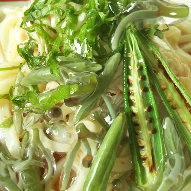 きのうのおつまみ　 じゅんさいのぶっかけうどん　梅風味