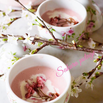桜のポタージュスープ