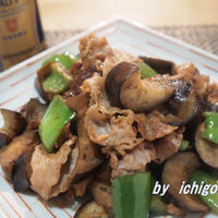 おうちのみ大使|ザ・プレミアム・モルツと豚肉とナス・ピーマンの味噌炒めと八丁味噌で健康寿命