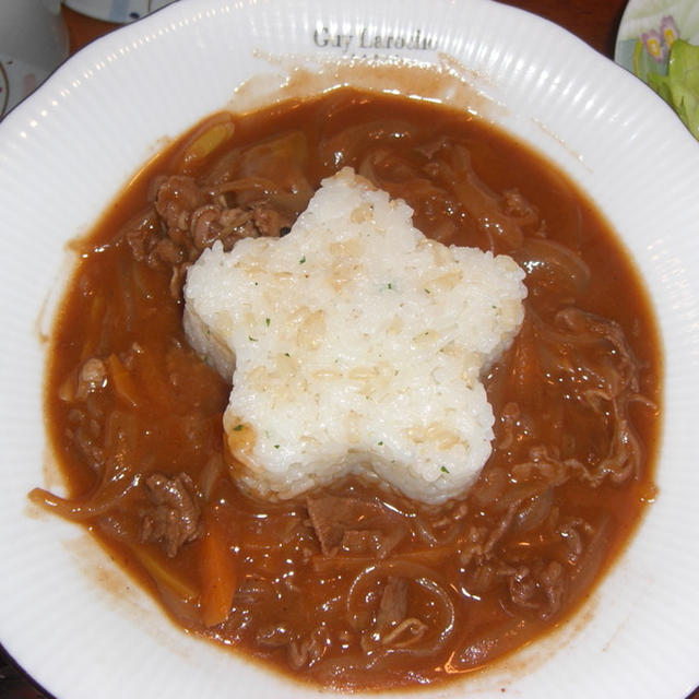 ハヤシライス＆花見弁当