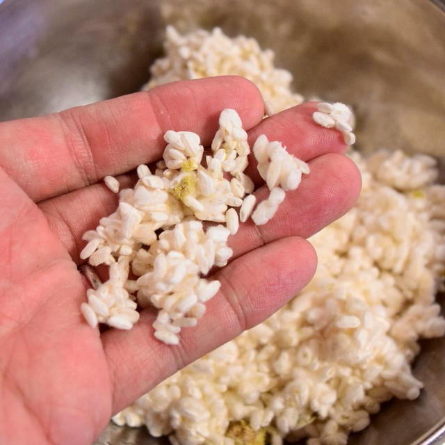 米ぬかから天然麹菌を培養し米麹を作る