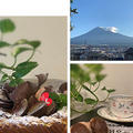 バースディーケーキをバスクチーズケーキで・マカロンや栗渋皮煮を飾りつけて、今朝の富士山　♪♪