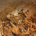 花椒（ホワジャオ）で香りと刺激をアップしたヘルシー料理！きのこ＆こんにゃくの味噌煮込みの作り方・レシピ！