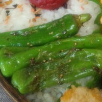ししとうの味付けカレーパウダーソテー