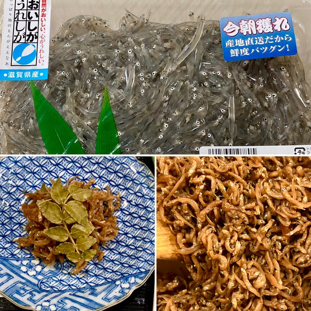 琵琶湖の冬の味覚　氷魚の佃煮