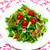 ★明星　中華三昧 de　サラダ涼麺★