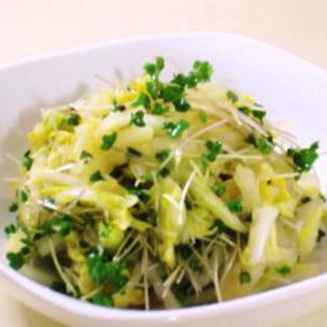 ノンオイル☆フレッシュ白菜とスプラウトのショウガサラダ