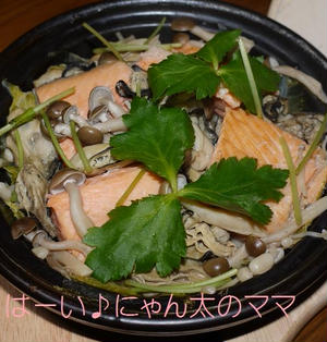 鮭と牡蠣ときのこと白菜の蒸し鍋
