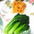 野菜だけの満足プレート