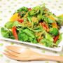 醤油麹ドレッシングde彩り野菜のサラダ