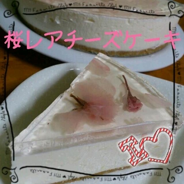 桜レアチーズケーキ