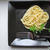 レンジで簡単♪塩パスタ