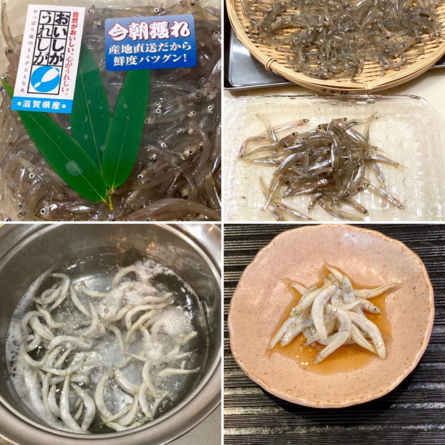 琵琶湖の冬の味覚　氷魚の釜揚げ