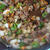 のせるドライカレー