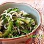 【レシピ】ゴーヤとしらすのゴマ和え
