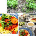日曜ランチは庭のバジルとフレッシュトマト・茄子のパスタ～昨日の夕食も残り物食材で中華