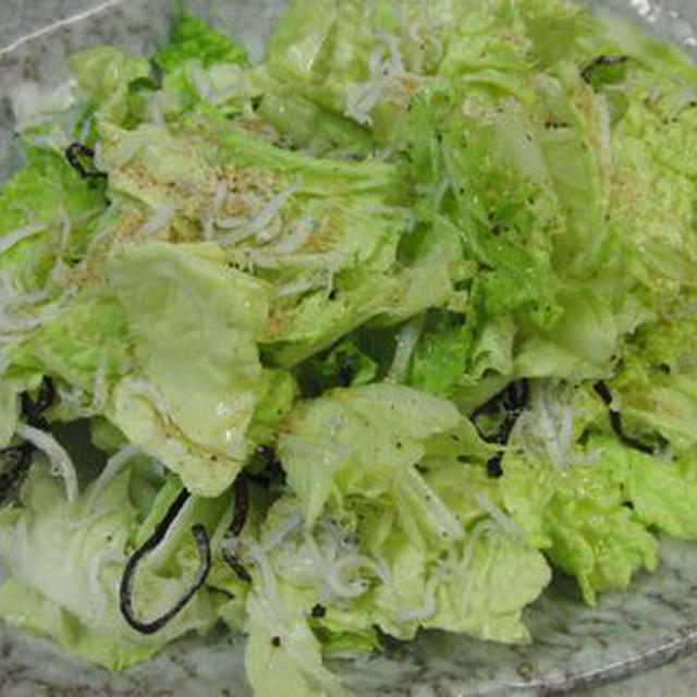 白菜のナムル風サラダ