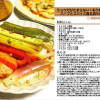 ミョウガがたまらない！彩り野菜たっぷりハーブとスパイス香るピクルス -Recipe No.1019 -