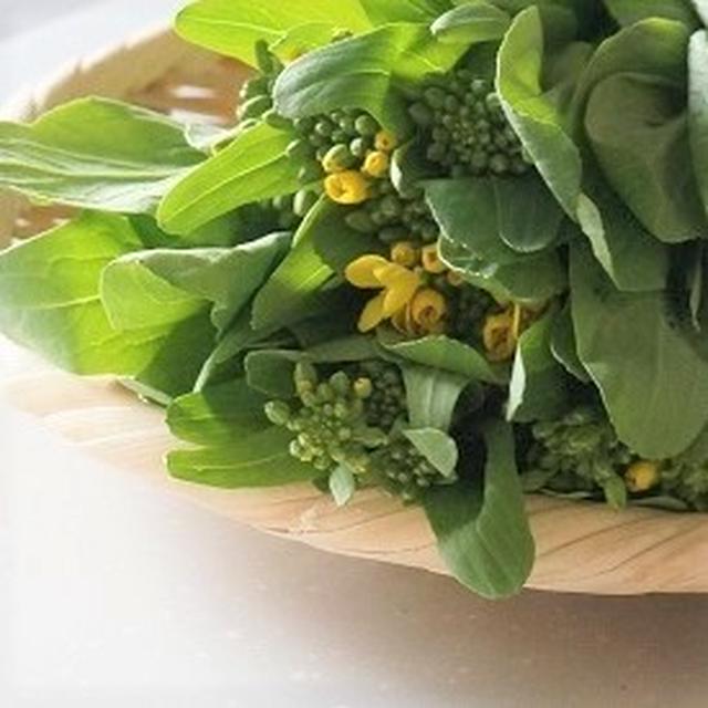 食べくらべ チンゲン菜と白菜の菜花 By Junjunさん レシピブログ 料理ブログのレシピ満載