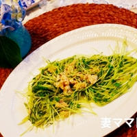 育てた豆苗で「ガーリック風味のおつまみ」♪ Garlic Saute