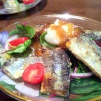 秋刀魚のジュレポン酢サラダ(ハーブ・タイム使用)