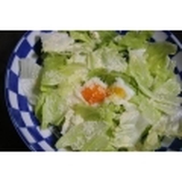 ≪レタスの温玉サラダ≫