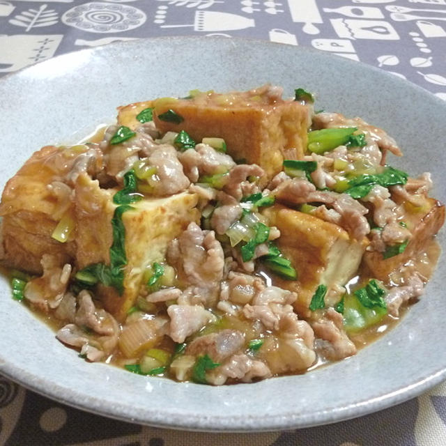 厚揚げの豚肉あんかけと、ダイソン