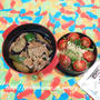 どんぶりごはん ★ OBENTOは茄子ピー豚丼