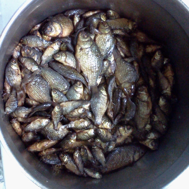 小鮒の煮付け
