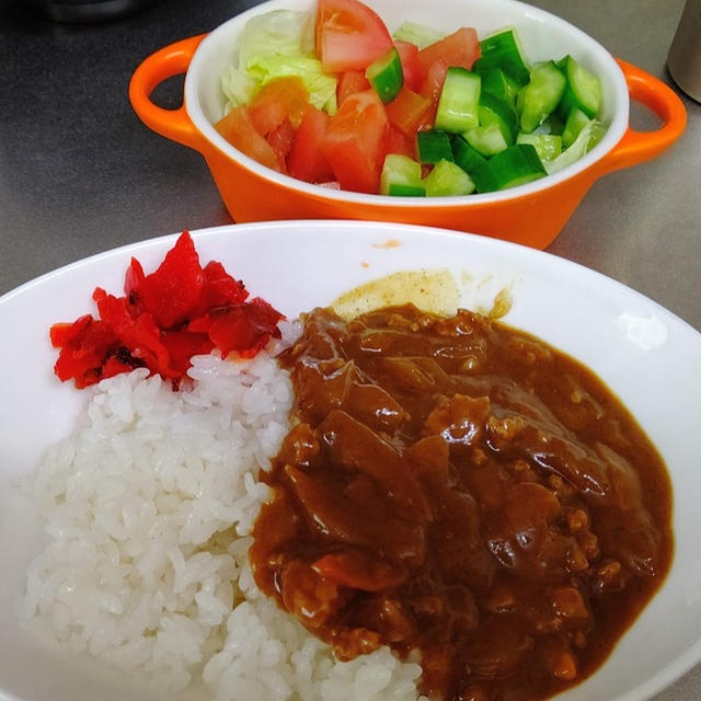 8/10〜11  実家に帰るんで　●作り置きカレー●サラダ