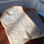 ホシノ天然酵母と「はまなす」で焼いたパン
