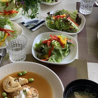 レッスン用ランチは鶏ひき肉の和風ハンバーグ・まろやかなお酢＋大根おろし＋柚胡椒でさっぱりです