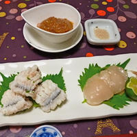 貝柱の昆布〆と、鱧の湯引き