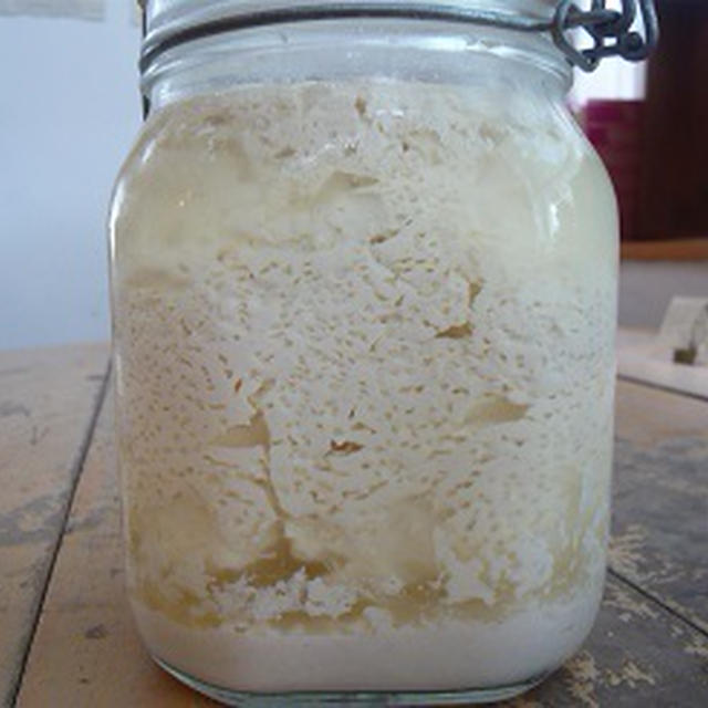 玄米酵母でつくる　なんちゃって豆乳ヨーグルト　レシピ　