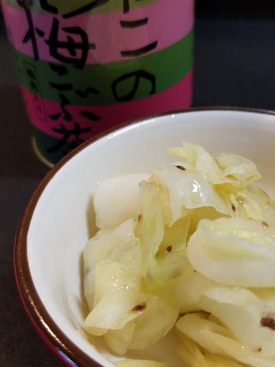 冷酒のアテに♪茹でキャベツの梅昆布茶和え