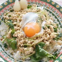がパオライス