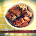 豆腐の海苔＆梅干巻き焼きとトロトロ玉ねぎタレの丼