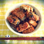 豆腐の海苔&梅干巻き焼きとトロトロ玉ねぎタレの丼