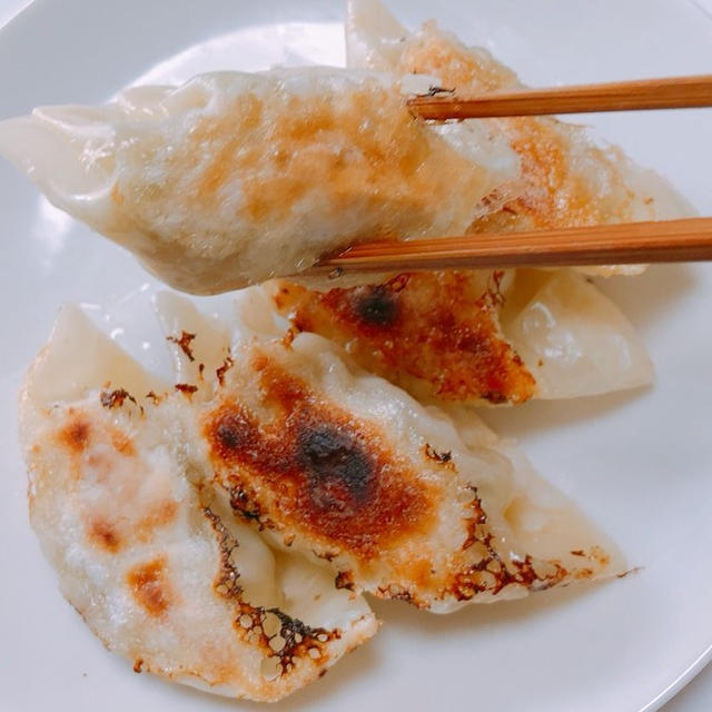 刃牙道直伝！「餃子は野菜料理」なのか？餃子大好物の我が子たちに食べさせて野菜嫌い克服を試みてみた